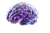 Glowing Ai Brain V5 Vinyl Car Decal Sticker – Waterproof & UV-Resistant 2.986666666666667"