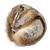 Sleeping Ground Squirrel Vinyl Car Decal Sticker – Waterproof & UV-Resistant 3.4133333333333336"