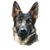 Fierce Sable Shepherd Vinyl Car Decal Sticker – Waterproof & UV-Resistant 3.4133333333333336"