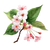 Kawaii Cherry Leaf Vinyl Car Decal Sticker – Waterproof & UV-Resistant 3.4133333333333336"
