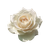 Blooming White Rose V3 Vinyl Car Decal Sticker – Waterproof & UV-Resistant 3.4133333333333336"