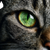 Green Cat Eye V2 Vinyl Car Decal Sticker – Waterproof & UV-Resistant 3.4133333333333336"