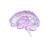 Glowing Futuristic Brain Vinyl Car Decal Sticker – Waterproof & UV-Resistant 3.4133333333333336"
