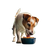 Jack Russell Feast Vinyl Car Decal Sticker – Waterproof & UV-Resistant 3.4133333333333336"