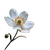 White Flower V7 Vinyl Car Decal Sticker – Waterproof & UV-Resistant 3.4133333333333336"