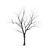 Minimalistic Leafless Tree Vinyl Car Decal Sticker – Waterproof & UV-Resistant 3.4133333333333336"