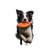 Border Collie Frisbee Vinyl Car Decal Sticker – Waterproof & UV-Resistant 3.4133333333333336"