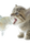 Cute Kitten Eating Vinyl Car Decal Sticker – Waterproof & UV-Resistant 4.8533333333333335"