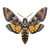 Death’S-Head Hawkmoth Vinyl Car Decal Sticker – Waterproof & UV-Resistant 6.826666666666667"