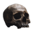 Human Skull V15 Vinyl Car Decal Sticker – Waterproof & UV-Resistant 6.826666666666667"