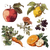 Botanical Fruits Sketch Vinyl Car Decal Sticker – Waterproof & UV-Resistant 3.4133333333333336"