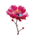 Hibiscus Flower V4 Vinyl Car Decal Sticker – Waterproof & UV-Resistant 6.826666666666667"