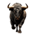 Bull Arena Vinyl Car Decal Sticker – Waterproof & UV-Resistant 6.826666666666667"