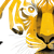 Graphic Tiger Vinyl Car Decal Sticker – Waterproof & UV-Resistant 6.826666666666667"