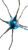 Neurons Connecting Vinyl Car Decal Sticker – Waterproof & UV-Resistant 9.706666666666667"