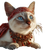 Pirate Siamese Cat V2 Vinyl Car Decal Sticker – Waterproof & UV-Resistant 3.4133333333333336"
