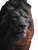 Majestic Flaming Lion Vinyl Car Decal Sticker – Waterproof & UV-Resistant 8.213333333333333"