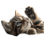 Tiny Dreamy Kitten Vinyl Car Decal Sticker – Waterproof & UV-Resistant 3.4133333333333336"