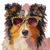 Collie In Sunglasses Vinyl Car Decal Sticker – Waterproof & UV-Resistant 3.4133333333333336"
