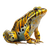 Striped Frog Vinyl Car Decal Sticker – Waterproof & UV-Resistant 3.4133333333333336"