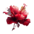 Sovereign Hibiscus Vinyl Car Decal Sticker – Waterproof & UV-Resistant 6.826666666666667"