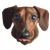 Cute Dachshund V3 Vinyl Car Decal Sticker – Waterproof & UV-Resistant 3.4133333333333336"