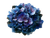 Blue Hydrangea Arrangement Vinyl Car Decal Sticker – Waterproof & UV-Resistant 6.1866666666666665"