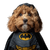 Cavoodle Batman V2 Vinyl Car Decal Sticker – Waterproof & UV-Resistant 6.826666666666667"