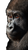 Sulky Baby Gorilla Vinyl Car Decal Sticker – Waterproof & UV-Resistant 4.8533333333333335"