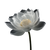 White Lotus X-Ray Vinyl Car Decal Sticker – Waterproof & UV-Resistant 6.826666666666667"