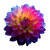 Bright Dahlia Flower Vinyl Car Decal Sticker – Waterproof & UV-Resistant 3.4133333333333336"