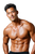 Muscular Asian Portrait Vinyl Car Decal Sticker – Waterproof & UV-Resistant 4.4