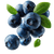 Flying Blueberries Vinyl Car Decal Sticker – Waterproof & UV-Resistant 6.826666666666667"