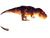 Fire Elemental T-Rex Vinyl Car Decal Sticker – Waterproof & UV-Resistant 6.1866666666666665"