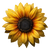 Large Sunflower V2 Vinyl Car Decal Sticker – Waterproof & UV-Resistant 3.4133333333333336"
