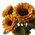 Plush Sunflowers Vinyl Car Decal Sticker – Waterproof & UV-Resistant 6.826666666666667"