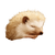 Sleeping Baby Hedgehog Vinyl Car Decal Sticker – Waterproof & UV-Resistant 3.4133333333333336"
