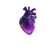 Vibrant Blueberry Heart Vinyl Car Decal Sticker – Waterproof & UV-Resistant 3.4133333333333336"