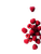 Vibrant Raspberries Composition Vinyl Car Decal Sticker – Waterproof & UV-Resistant 8.213333333333333"