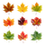 Maple Leaves Collection Vinyl Car Decal Sticker – Waterproof & UV-Resistant 6.826666666666667"