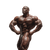 Bodybuilder Posing V3 Vinyl Car Decal Sticker – Waterproof & UV-Resistant 3.4133333333333336"