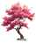 Cherry Blossom Tree V27 Vinyl Car Decal Sticker – Waterproof & UV-Resistant 8.0"