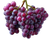 Purple Grape Clusters Vinyl Car Decal Sticker – Waterproof & UV-Resistant 3.2"