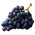 Purple Grapes Bundle Vinyl Car Decal Sticker – Waterproof & UV-Resistant 3.4133333333333336"