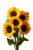 Sunflowers Portrait Vinyl Car Decal Sticker – Waterproof & UV-Resistant 8.96"