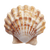 Beige Shell Vinyl Car Decal Sticker – Waterproof & UV-Resistant 3.4133333333333336"