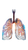 Holographic Lungs Vinyl Car Decal Sticker – Waterproof & UV-Resistant 9.706666666666667"