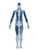 X-Ray Human Skeleton Vinyl Car Decal Sticker – Waterproof & UV-Resistant 8.533333333333333"