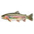 Rainbow Trout Beauty Vinyl Car Decal Sticker – Waterproof & UV-Resistant 6.826666666666667"