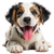 Happy Cute Dog V4 Vinyl Car Decal Sticker – Waterproof & UV-Resistant 6.826666666666667"